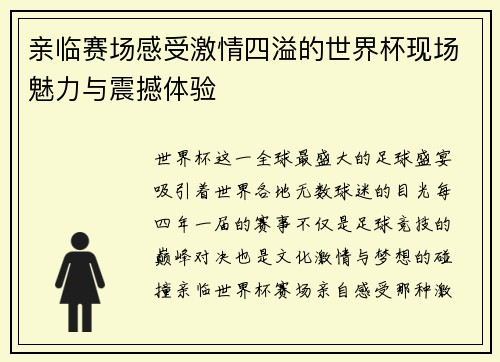 亲临赛场感受激情四溢的世界杯现场魅力与震撼体验